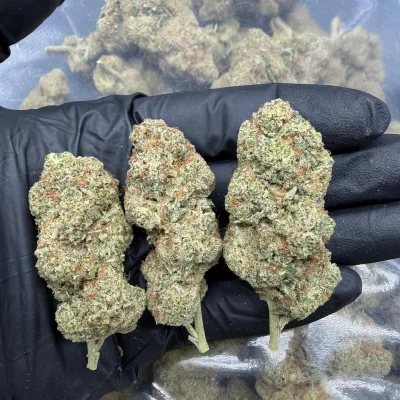 Wagyu haze