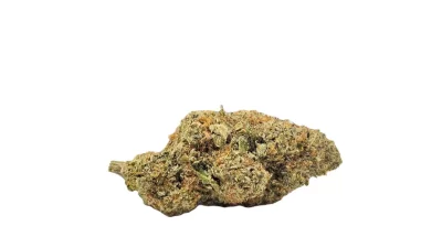 Dosidoe white