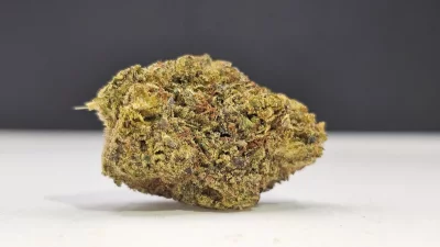 Lpdt cheese