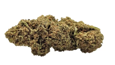 Amnesia regular full