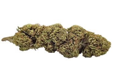 Cannatonic greenhouse