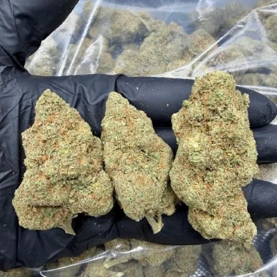 Cherry lemon gelato high 2