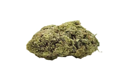 Gorilla freeze full
