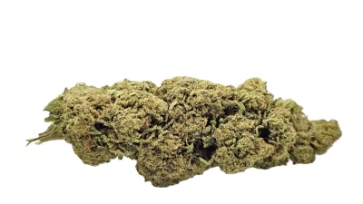 Red berry amnesia full