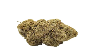 Tropicanna cherry full
