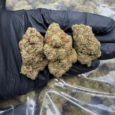 Zkittles high