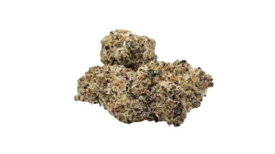 Biscotti thca