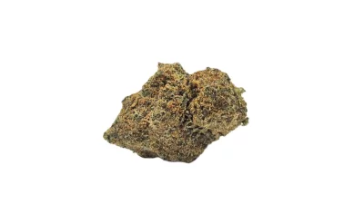 Gmo full white