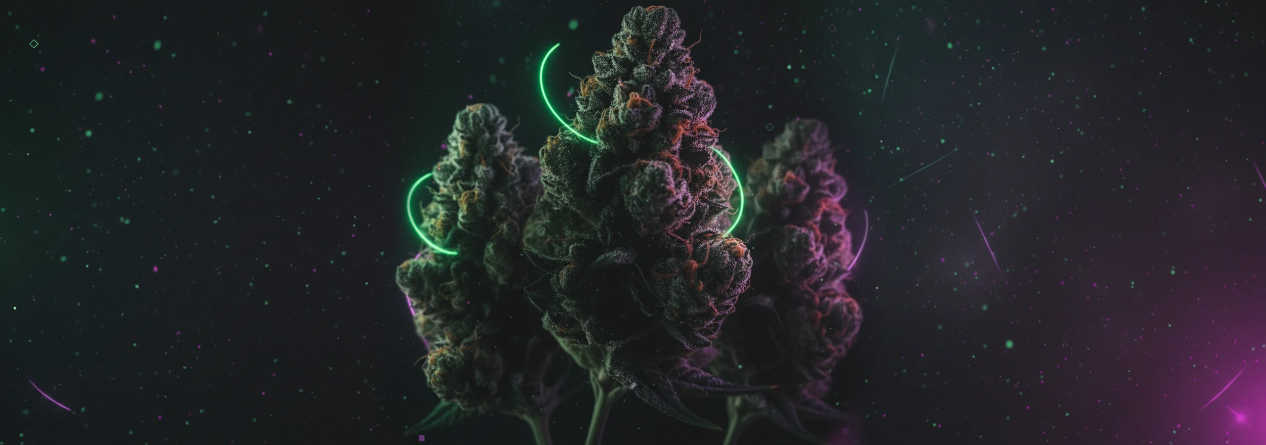 LPDT Production - Exclusive CBD deals